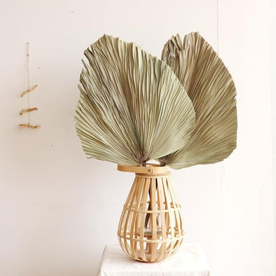 Naturally Dried Decorative Palm Leaf
